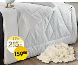 Reiter Gots schurwolldecke Angebot