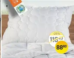 Reiter Gots schurwollpolster Angebot