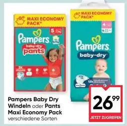 Maximarkt Pampers Baby Dry Windeln oder Pants Maxi Economy Pack Angebot
