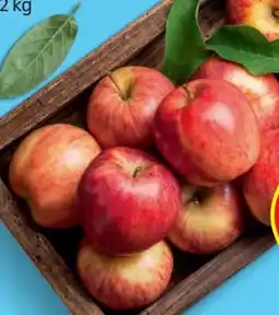 Hofer Hofer Marktplatz Äpfel Angebot