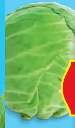 Hofer Hofer Marktplatz Weißkraut Angebot