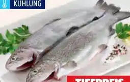 Hofer Almare Forelle Angebot