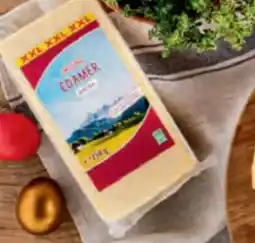 Hofer Milsani Edamer Angebot