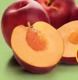 Hofer Hofer Marktplatz Nektarinen Angebot