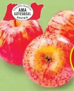 Hofer Hofer Marktplatz Äpfel Angebot