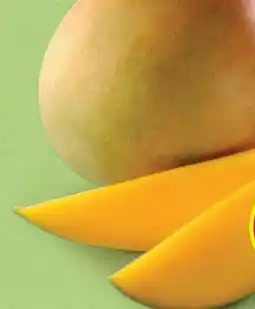 Hofer Hofer Marktplatz Mango XL Angebot