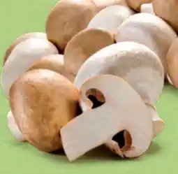 Hofer Hofer Marktplatz Bio-Champignon Angebot