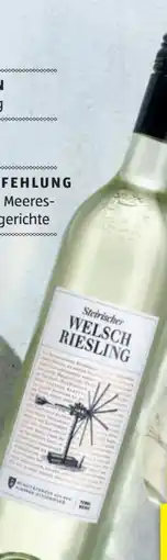 Hofer Pewal Weine Südsteiermark Welschriesling Angebot