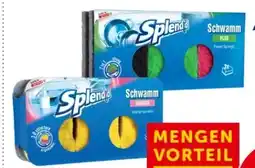 Interspar Splendid Schwämme Plus Angebot