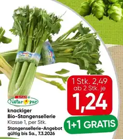 Spar Spar Natur pur Bio-Stangensellerie Angebot