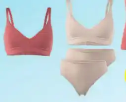 Hofer Up 2 Fashion Damen-Unterwäsche Angebot