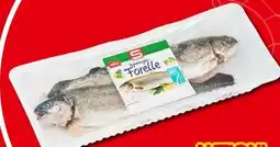 Interspar S Budget Forelle Angebot