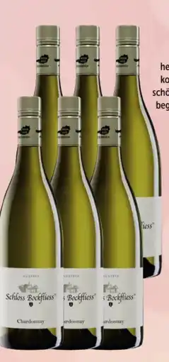Interspar Weingut R&A Pfaffl Schloss Bockfliess Chardonnay Angebot