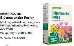 Lagerhaus Immergrün blütenwunder perlen Angebot