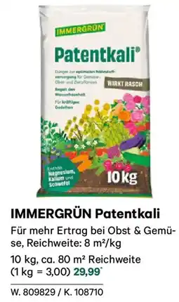 Lagerhaus Immergrün patentkali Angebot