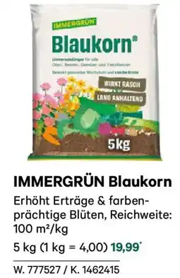 Lagerhaus Immergrün blaukorn Angebot