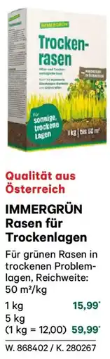 Lagerhaus Immergrün rasen für trockenlagen Angebot