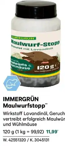 Lagerhaus IMMERGRÜN Maulwurfstopp Angebot