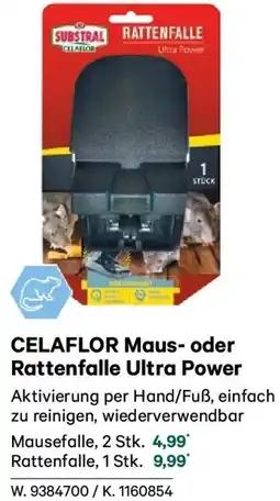 Lagerhaus CELAFLOR Maus- oder Rattenfalle Ultra Power Angebot