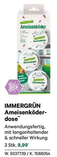 Lagerhaus IMMERGRÜN Ameisenköderdose Angebot