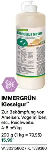 Lagerhaus IMMERGRÜN Kieselgur Angebot