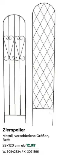 Lagerhaus Zierspalier Angebot