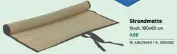 Lagerhaus Strandmatte Angebot