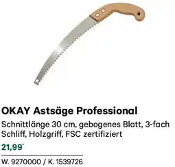 Lagerhaus Okay astsäge professional Angebot