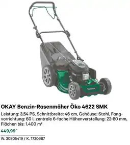 Lagerhaus Okay benzin-rasenmäher öko 4622 smk Angebot