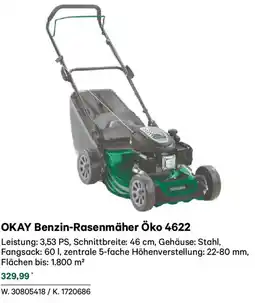 Lagerhaus Okay benzin rasenmäher öko 4622 Angebot