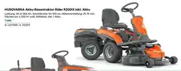 Lagerhaus Akku-Rasentraktor Rider R200IX inkl. Akku Angebot
