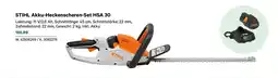 Lagerhaus Akku Heckenscheren Set HSA 30 Angebot