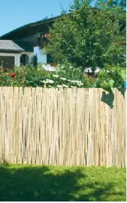 Lagerhaus Windhager sichtschutz- matte mitake Angebot