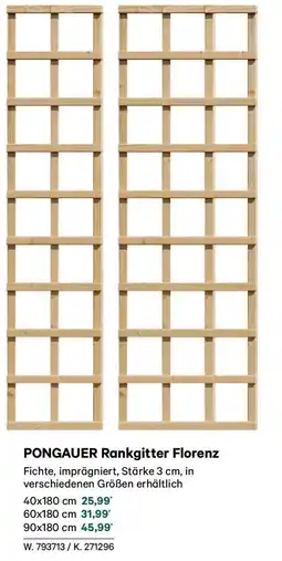 Lagerhaus Pongauer rankgitter florenz Angebot