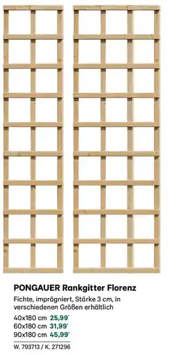 Lagerhaus Pongauer rankgitter florenz Angebot