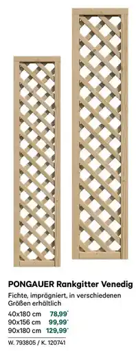 Lagerhaus Pongauer rankgitter venedig Angebot