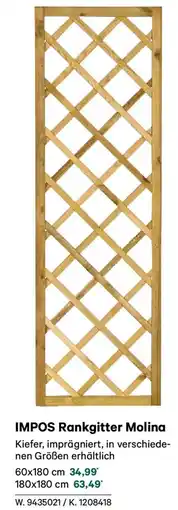 Lagerhaus Impos rankgitter molina Angebot