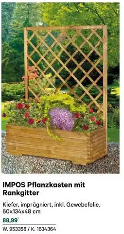 Lagerhaus Impos pflanzkasten mit rankgitter Angebot