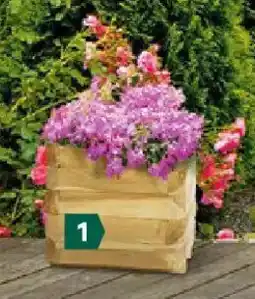 Lagerhaus Okay pflanzkasten Angebot