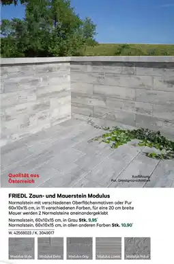 Lagerhaus Friedl zaun und mauerstein modulus Angebot