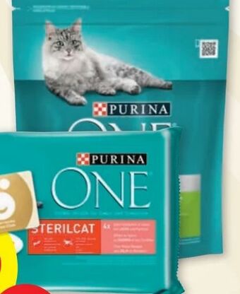 PENNY One Katzennahrung Angebot