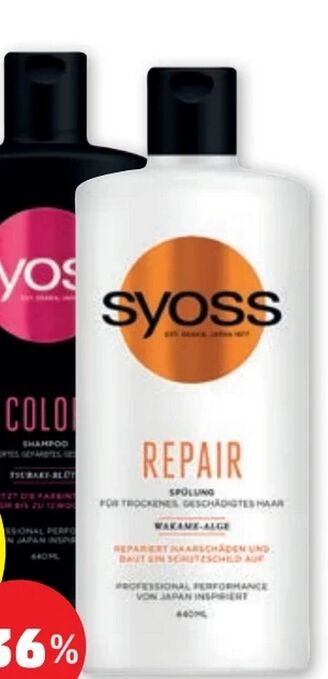 PENNY Shampoo Angebot