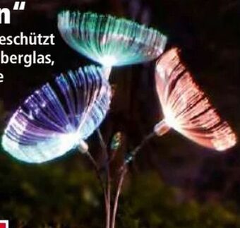 Norma LED Solar-Blume Dandelion Angebot