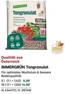 Lagerhaus Immergrün tongranulat Angebot