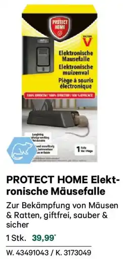 Lagerhaus Protect home elekt- ronische mäusefalle Angebot
