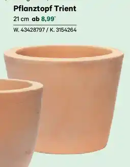 Lagerhaus Pflanztopf Trient Angebot