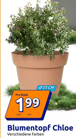 Action Blumentopf Chloe Angebot
