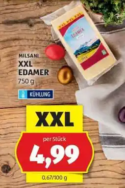 Hofer MILSANI XXL EDAMER Angebot