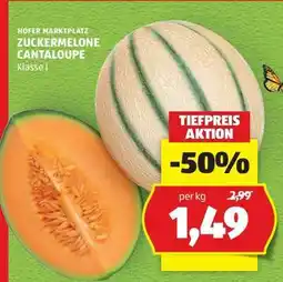 Hofer ZUCKERMELONE CANTALOUPE Angebot
