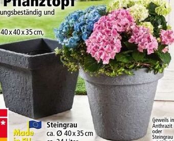 Norma Pflanztopf Pisa Angebot